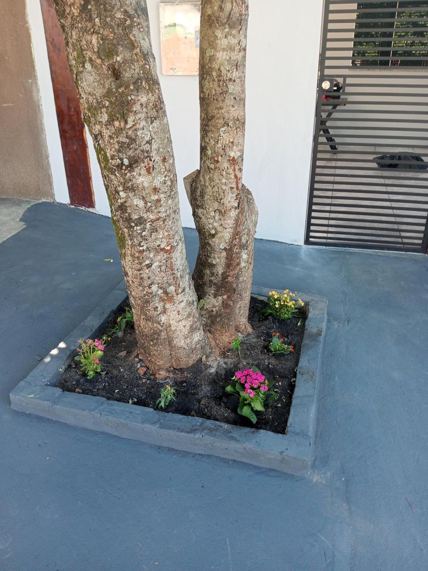 Casa Luna Da Boa Vista Bonito  Bagian luar foto